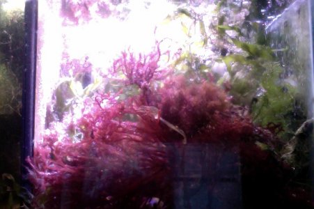 Photo on 7-23-15 at 4.42 PM.jpg