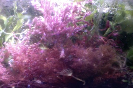 Photo on 7-23-15 at 4.42 PM #2.jpg