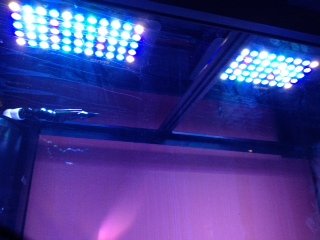 photo 3(2).JPG