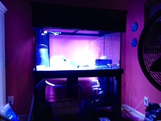 photo 5.JPG