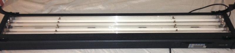 2015-08-19 20.47.02.jpg