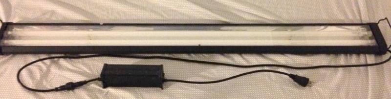 2015-08-19 20.45.08.jpg