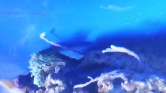 20150827_201608.jpg