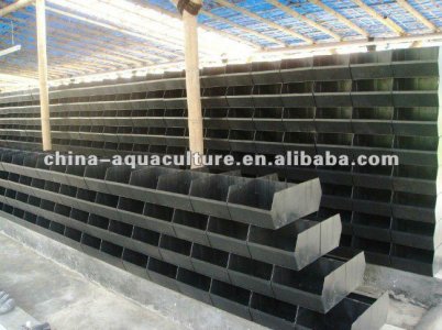 464170696_622.jpg 464170696_622.jpg