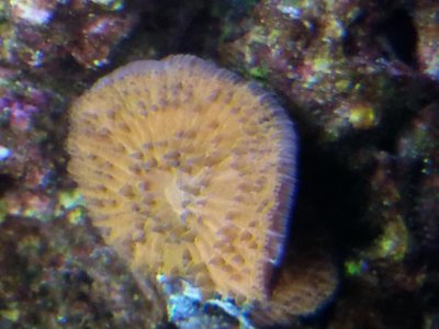 20150828_123831[1].jpg