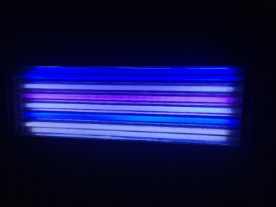 lights2.JPG