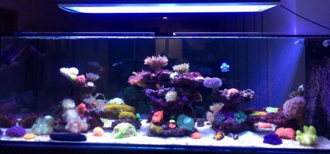 FullSizeRender (3).jpg