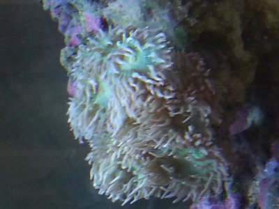 20150830_114835[1].jpg