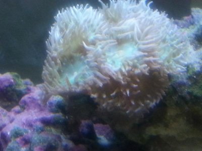 20150830_131723[1].jpg
