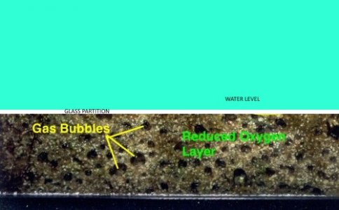 Partitioned Sand Bed.jpg