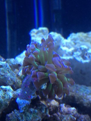 IMG_3395.jpg