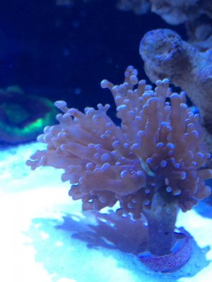 IMG_3414.jpg