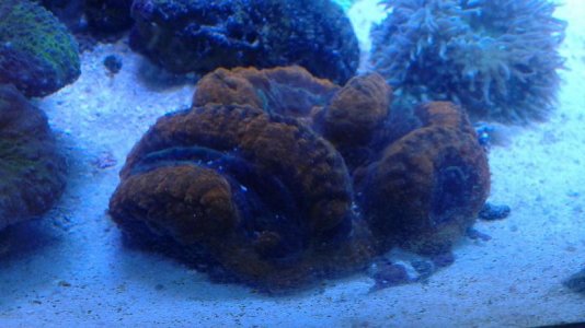 20150901_173515.jpg
