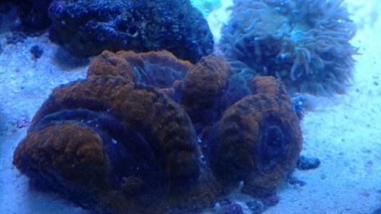 20150901_173532.jpg
