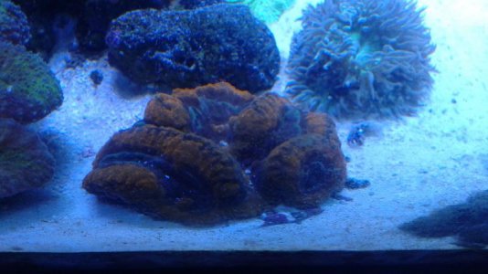 20150901_173521.jpg