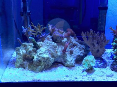 FullSizeRender-1.jpg FullSizeRender-1.jpg