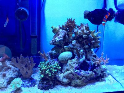 FullSizeRender-2.jpg FullSizeRender-2.jpg