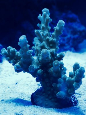 FullSizeRender-2.jpg FullSizeRender-2.jpg