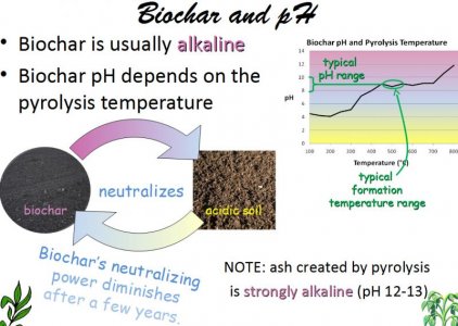 biochar ph.jpg