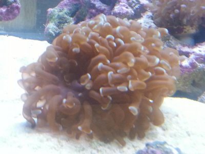 20150903_141812[1].jpg