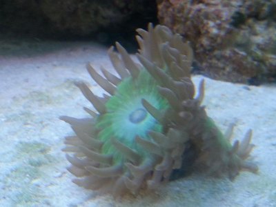 20150903_141817[1].jpg
