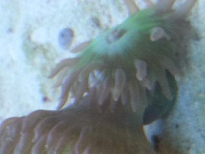 20150903_110049[1].jpg