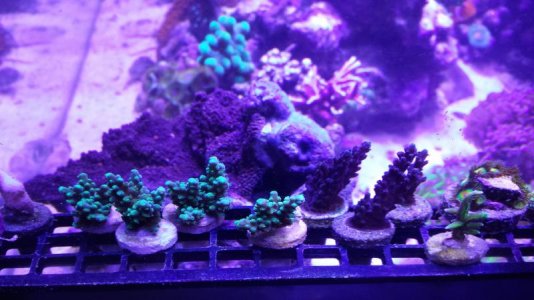20150903_173802.jpg