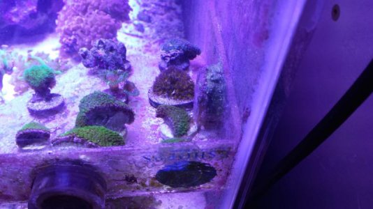 20150903_173812.jpg