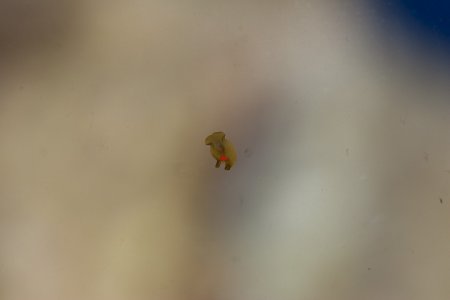 IMG_6897.jpg