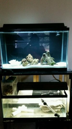 growout tank.jpg