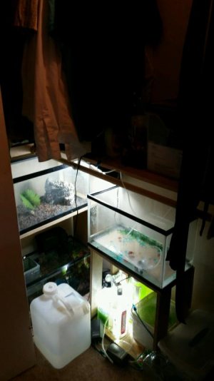 fishcloset.jpg