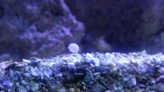 20151005_095309.jpg