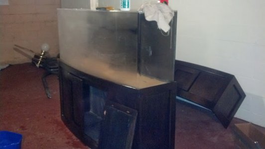 12112248_10156192440355232_292747876799421837_n (1).jpg