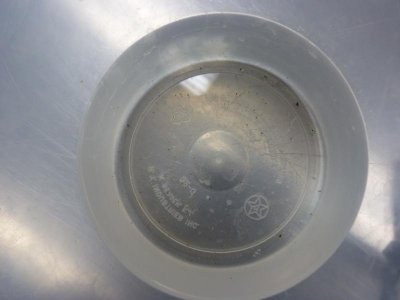 bugs in container.jpg