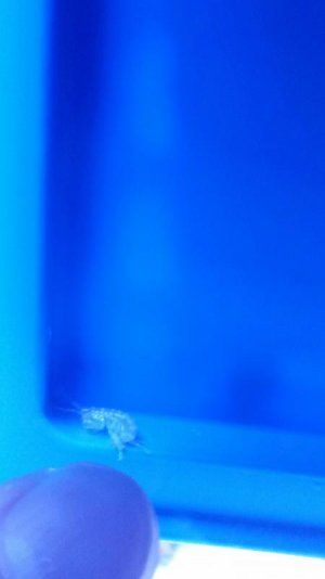 20151006_185242.jpg