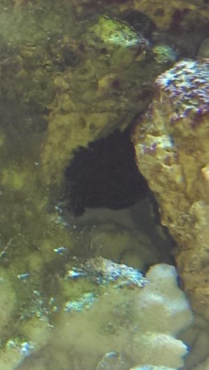 uploadfromtaptalk1444177663857.jpg uploadfromtaptalk1444177663857.jpg