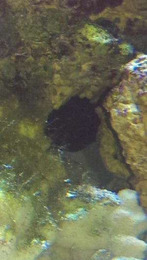 uploadfromtaptalk1444177681788.jpg uploadfromtaptalk1444177681788.jpg