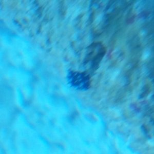 20150904_205351.jpg