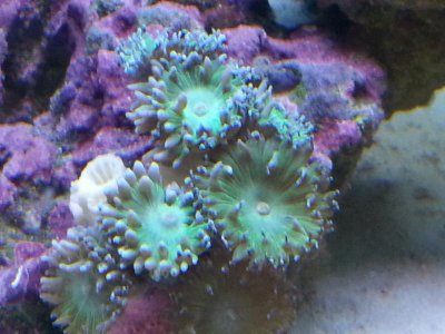 20151006_124812[1].jpg
