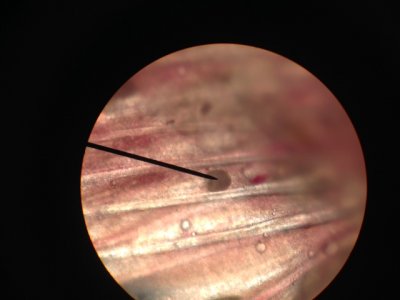 crypto (2).JPG crypto (2).JPG