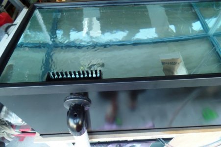 Functionality Test III.jpg