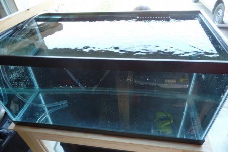 Functionality Test IV.jpg