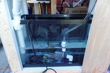 Functionality Test II.jpg