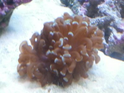 20150907_161134[1].jpg