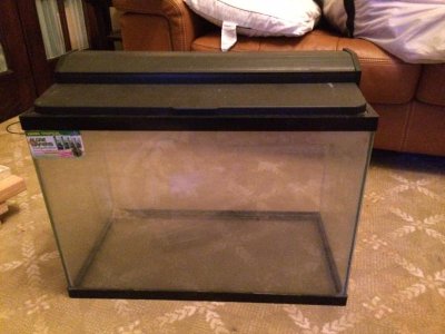 20g Tall.jpg