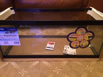 20g Long.jpg