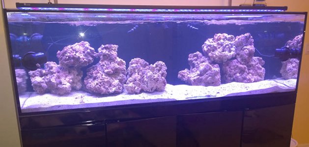 day3 tank.jpg