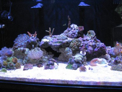 samsung pictures 013.jpg