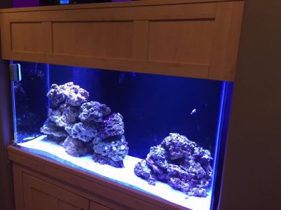 salt water display 10-10-15.jpg