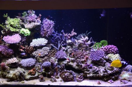 fts120915.jpg fts120915.jpg